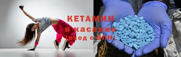 гидра Покачи